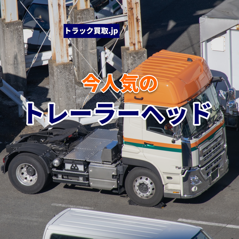 2026年3月 今人気のトレーラーヘッドは？