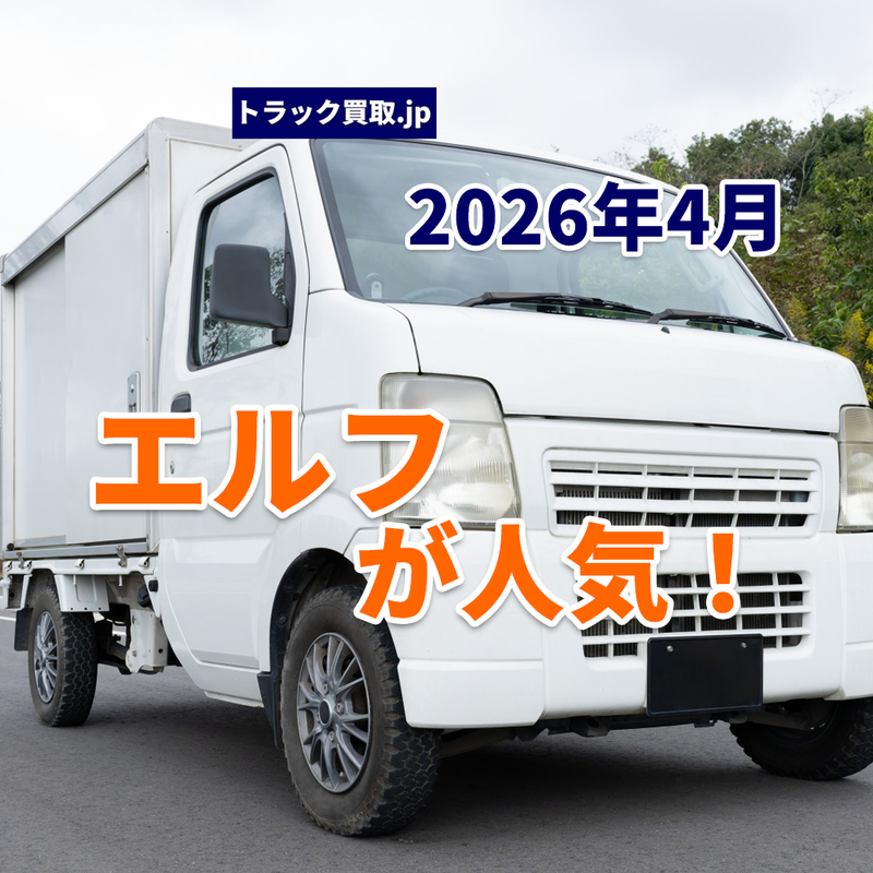 2026年4月 今人気のアルミバンは？エルフが強い理由